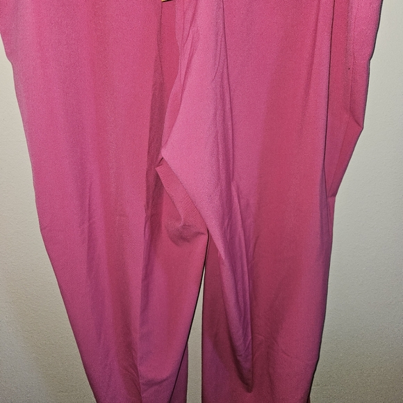 Ruby Rd. Womans Raspberry Colored Pants Size 24w - Picture 8 of 13
